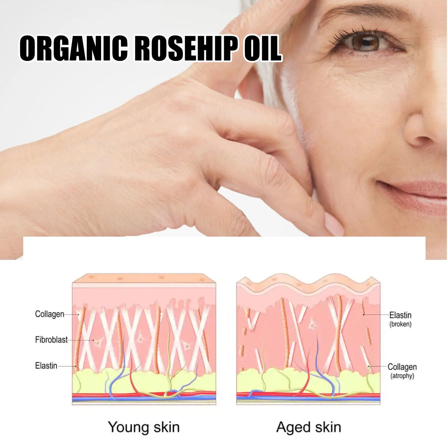 EELHOE Rosehip Serum-4
